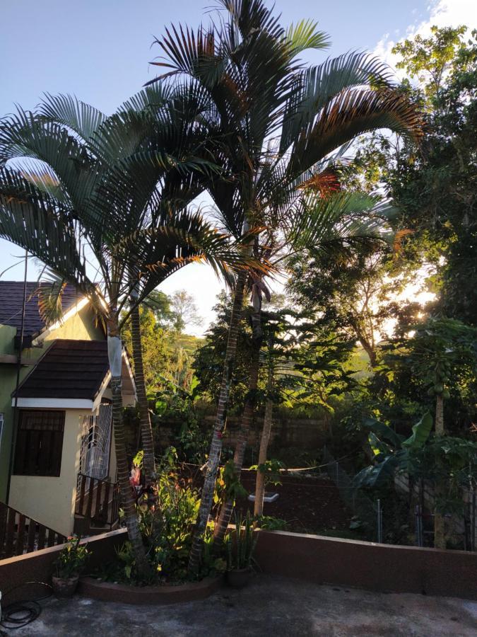 Gables Vacation Rentals With Private Gated Parking Onsite Knockpatrick Esterno foto
