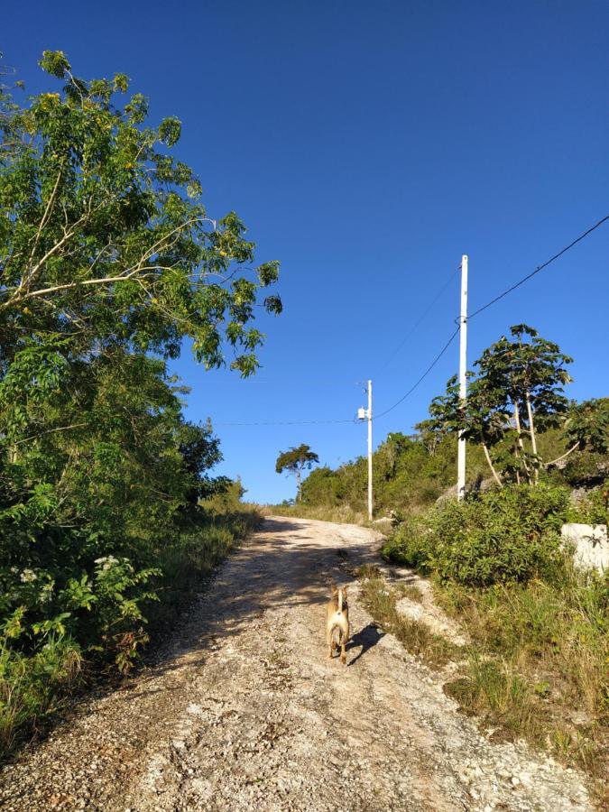 Gables Vacation Rentals With Private Gated Parking Onsite Knockpatrick Esterno foto