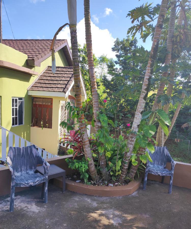 Gables Vacation Rentals With Private Gated Parking Onsite Knockpatrick Esterno foto